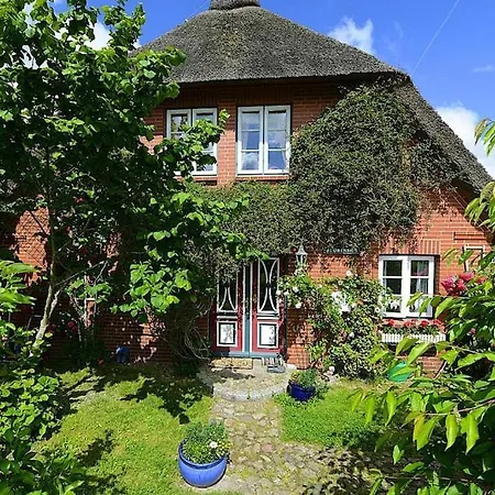 Holiday Home,